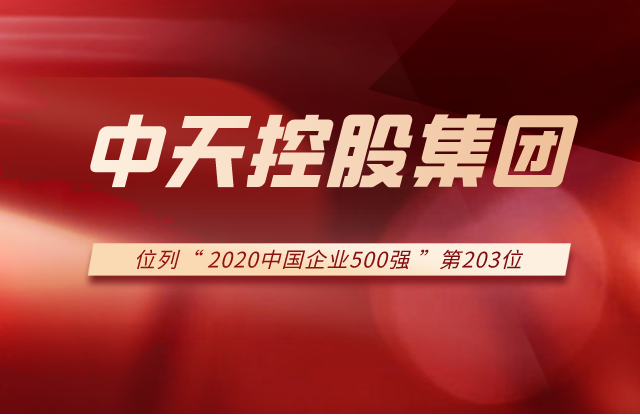 w66旗舰厅集团列2020中国企业500强第203位！